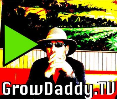 Click to See GrowDaddy TV Video on YouTube