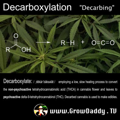Decarboxylation Definition
