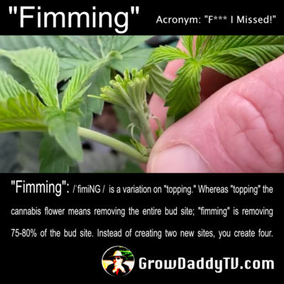 Fimming Definition = "F*** I Missed!"