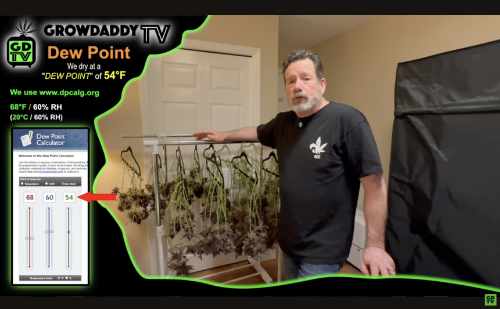 Drying Cannabis Using A Dew Point of 54 F