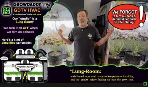 Our cannabis HVAC Disaster - Left the Fans OFF and the dehumidifier OFF