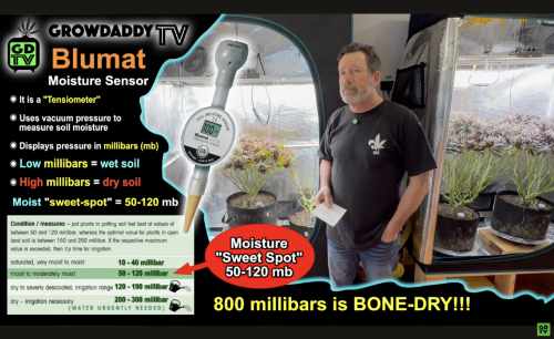 Blumat Moisture Meters for measuring soil moistrue in millibars
