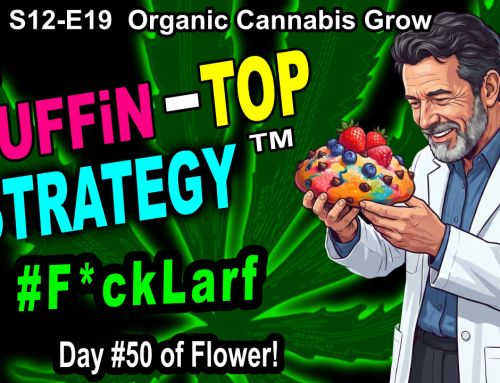 GDTV-S12-E19 | Indoor Cannabis Grow – Day 50 Of Flower – DiY Fish Fertilizer | Citizen Science