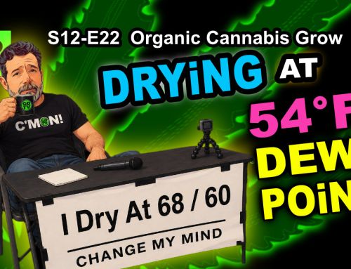 GDTV-S12-E22 | Indoor Cannabis Grow Day 8 Of Hanging / Drying – [Lazy Man’s Grow] | Mr. Clones