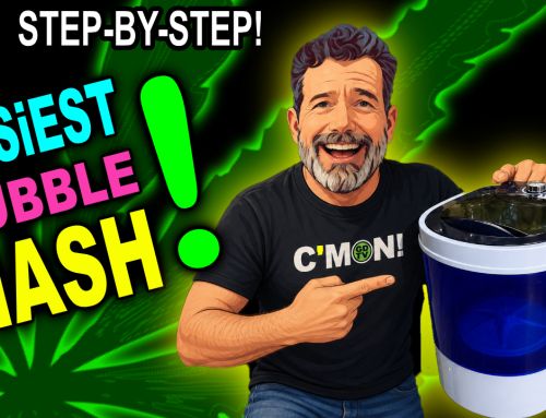 How To Make Bubble Hash – Easy Step By Step Video