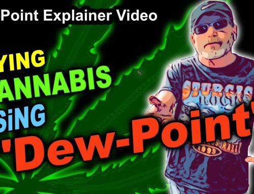 “Dew Point” Explainer Video – Drying & Curing Cannabis Using Dew Point As A Guide In The Drying Room