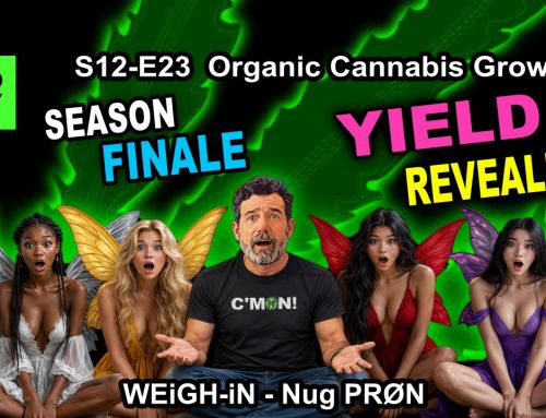 GDTV-S12-E23- Season Finale! Indoor Cannabis Grow | Weigh-In & Nug PrØN | Mr. Clones