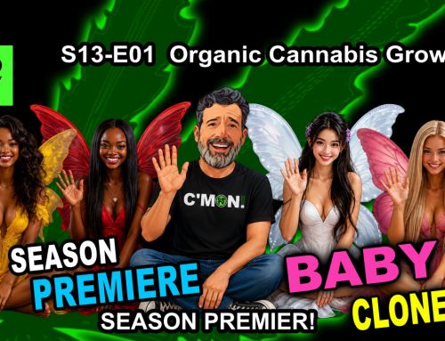 GDTV-S13-E01 | Indoor Cannabis Grow Day 01 – Clone Care – Mr. Clones | Citizen Science
