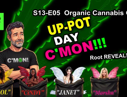 GDTV-S13-E05 | Indoor Cannabis Grow Day 29 – Up-Potting Day – Veg Stage Week 4